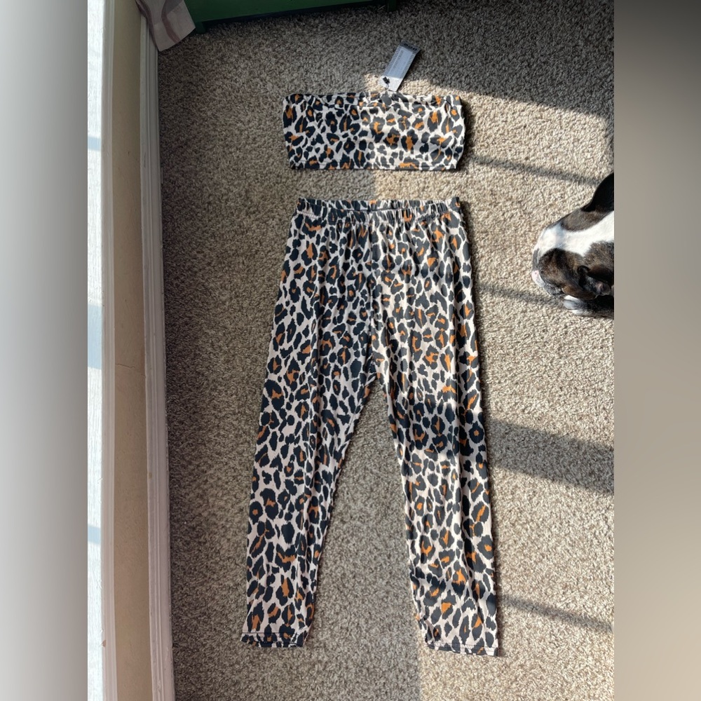 Two piece leopard outfit